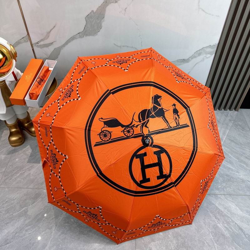 Hermes Umbrella (6)